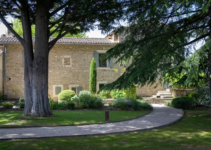 Mas Des Cedres
